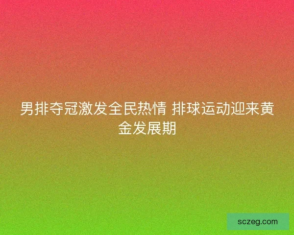 男排夺冠激发全民热情 排球运动迎来黄金发展期