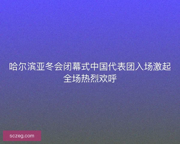 哈尔滨亚冬会闭幕式中国代表团入场激起全场热烈欢呼
